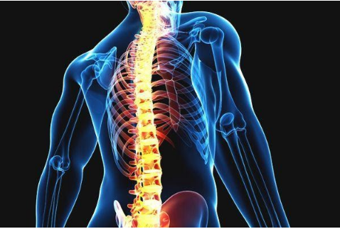 Ранна превенция на дископатия, дискова херния, стеноза и болки в гърба