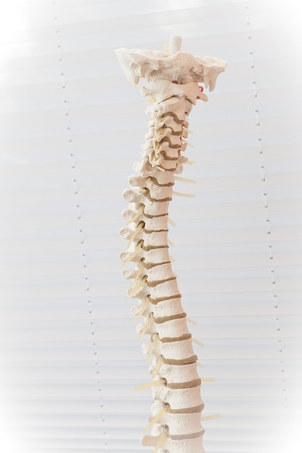 Болки в средата на гърба и гръдния отдел